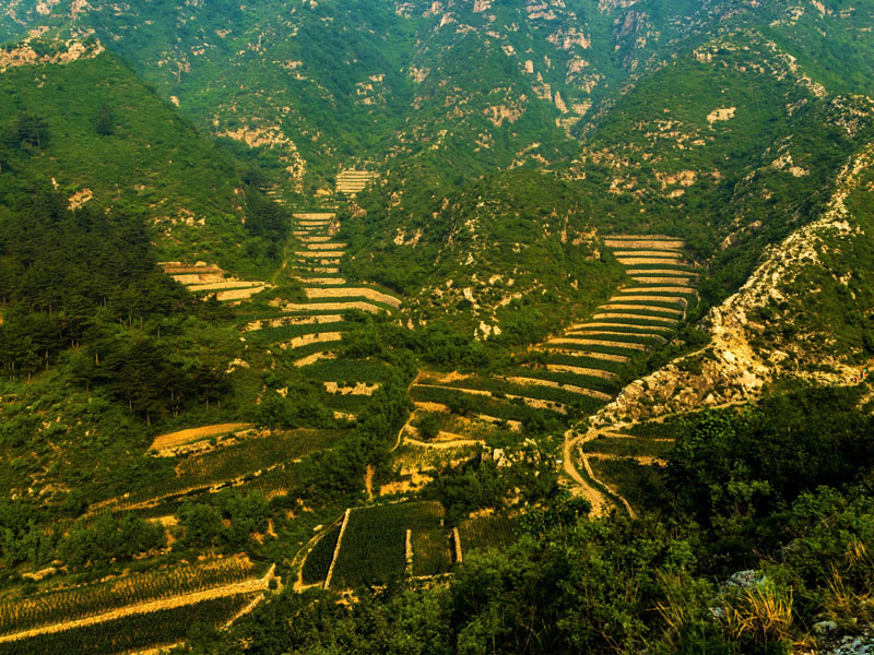 八盤溝百畝梯田