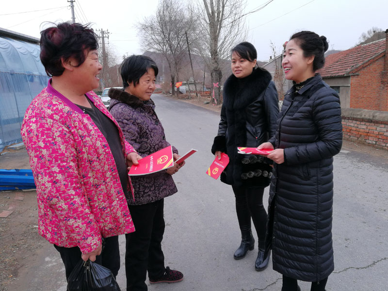 劉家村駐村第一書(shū)記王嬌在向婦女講解法律法規(guī)