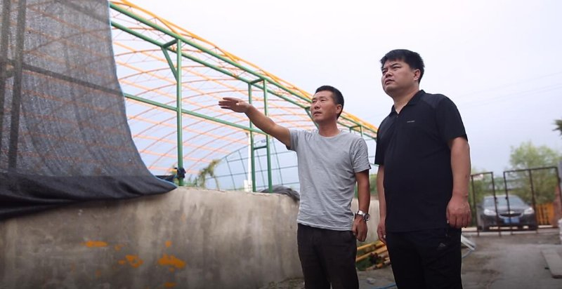 與大崗子村致富帶頭人研究魚(yú)菜共生項(xiàng)目